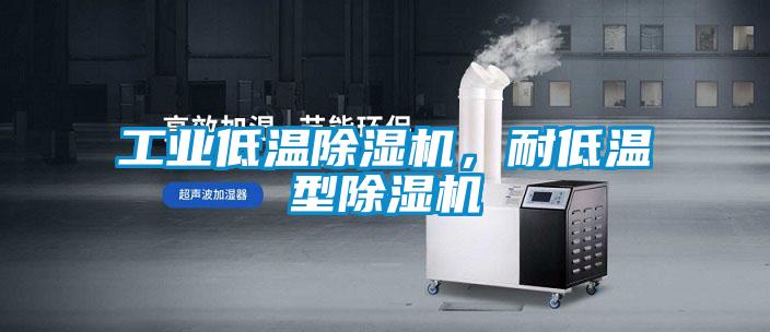 工業(yè)低溫除濕機(jī)，耐低溫型除濕機(jī)