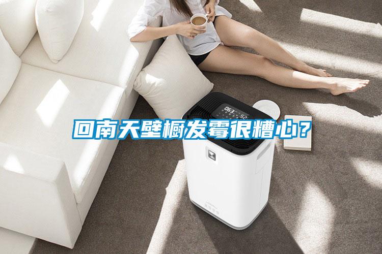 回南天壁櫥發(fā)霉很糟心？