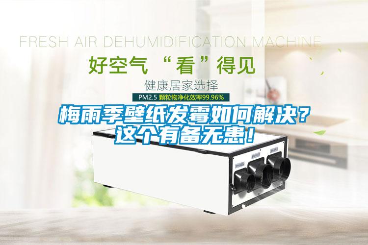 梅雨季壁紙發(fā)霉如何解決？這個(gè)有備無(wú)患！