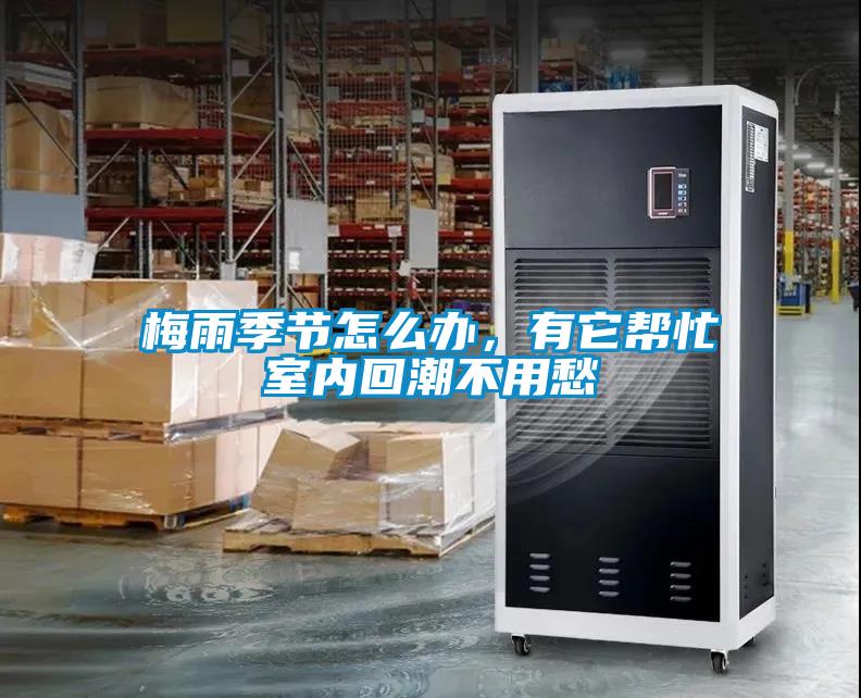 梅雨季節(jié)怎么辦，有它幫忙室內回潮不用愁