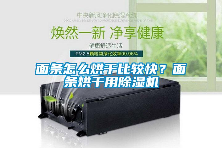 面條怎么烘干比較快？面條烘干用除濕機
