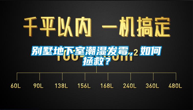別墅地下室潮濕發(fā)霉，如何拯救？