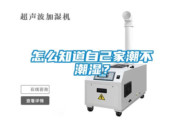 怎么知道自己家潮不潮濕？