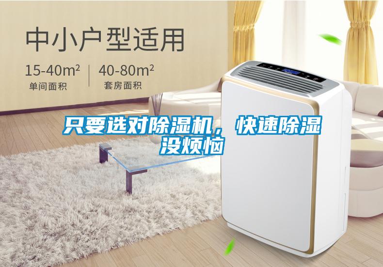 只要選對除濕機，快速除濕沒煩惱