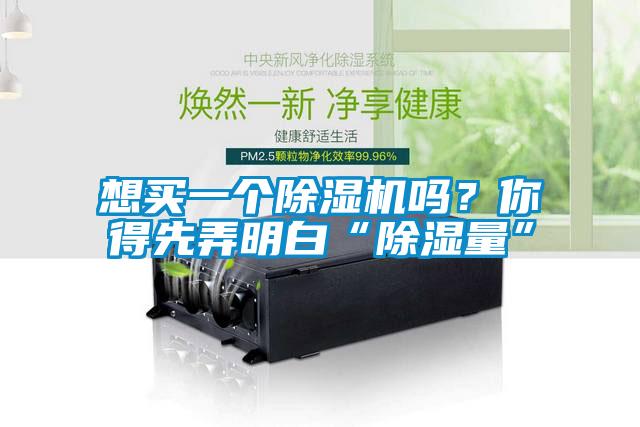 想買(mǎi)一個(gè)除濕機(jī)嗎？你得先弄明白“除濕量”