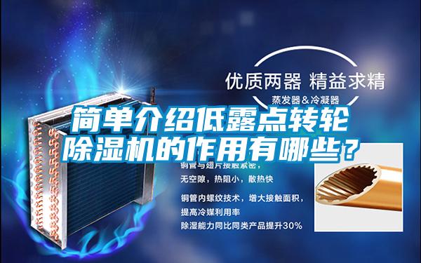 簡單介紹低露點(diǎn)轉(zhuǎn)輪除濕機(jī)的作用有哪些？