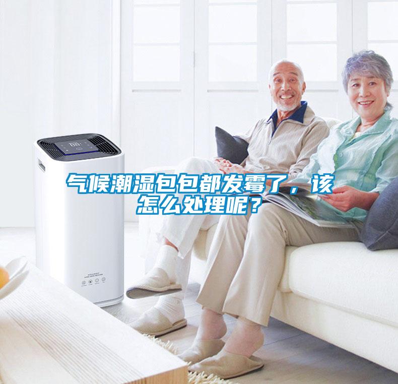 氣候潮濕包包都發(fā)霉了，該怎么處理呢？