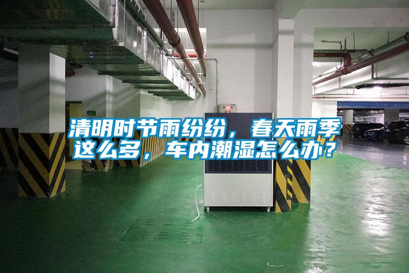 清明時節(jié)雨紛紛，春天雨季這么多，車內(nèi)潮濕怎么辦？