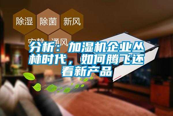 分析：加濕機(jī)企業(yè)叢林時(shí)代，如何騰飛還看新產(chǎn)品