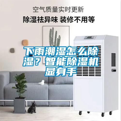 下雨潮濕怎么除濕？智能除濕機(jī)顯身手