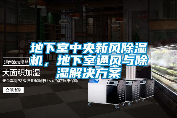 地下室中央新風(fēng)除濕機(jī)，地下室通風(fēng)與除濕解決方案
