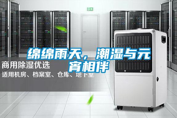 綿綿雨天，潮濕與元宵相伴