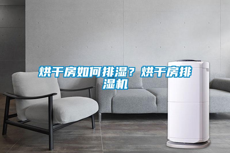 烘干房如何排濕？烘干房排濕機(jī)