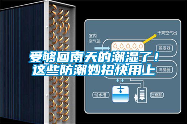 受夠回南天的潮濕了！這些防潮妙招快用上
