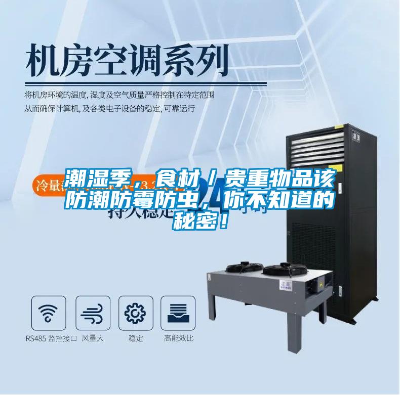 潮濕季，食材／貴重物品該防潮防霉防蟲，你不知道的秘密！
