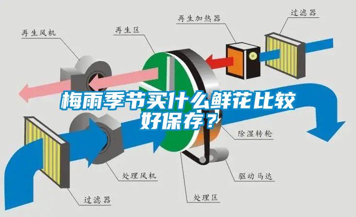 梅雨季節(jié)買什么鮮花比較好保存？