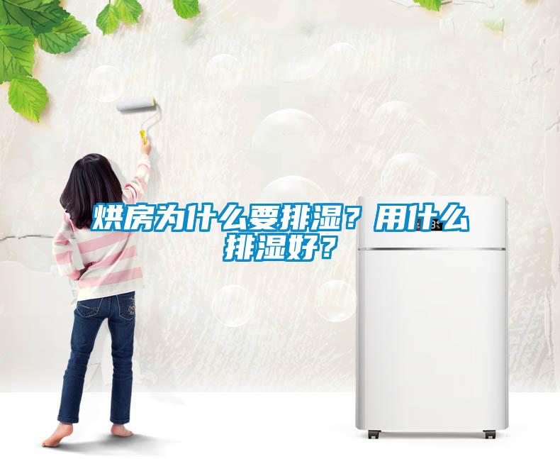 烘房為什么要排濕？用什么排濕好？