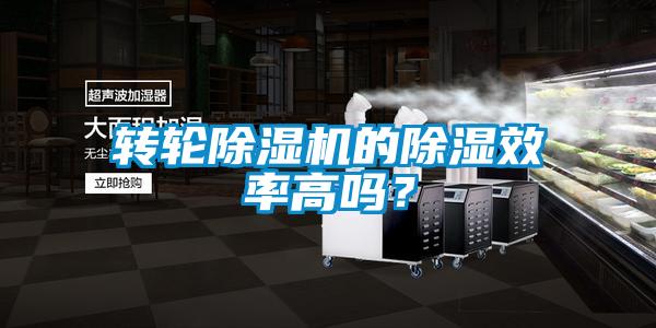 轉輪除濕機的除濕效率高嗎？
