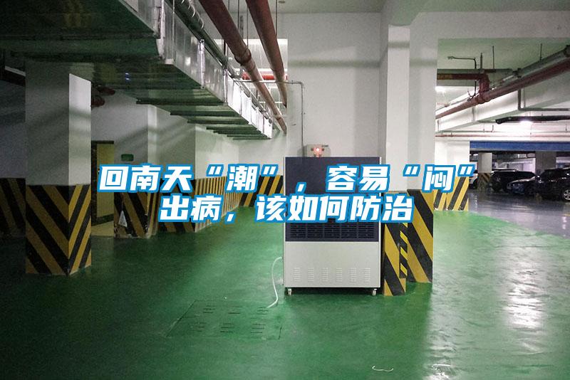 回南天“潮”，容易“悶”出病，該如何防治