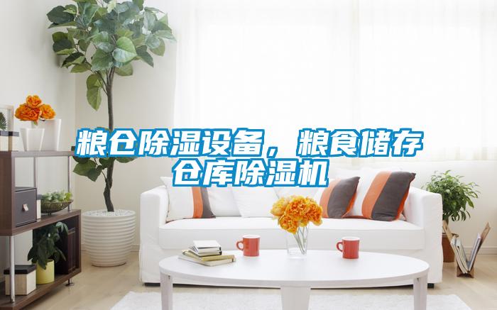 糧倉除濕設(shè)備，糧食儲存?zhèn)}庫除濕機(jī)