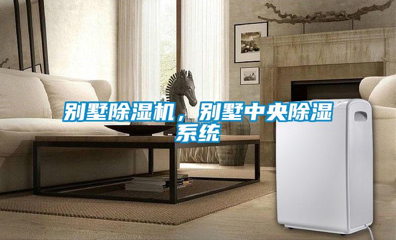 別墅除濕機(jī)，別墅中央除濕系統(tǒng)