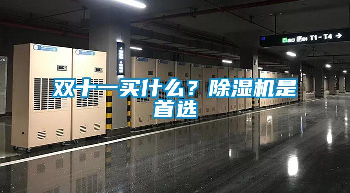 雙十一買什么？除濕機(jī)是首選