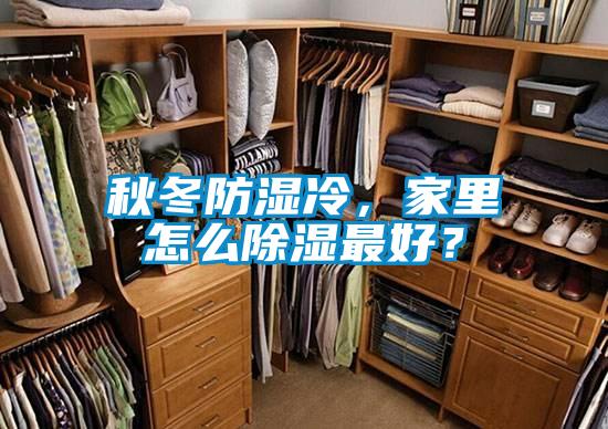 秋冬防濕冷，家里怎么除濕最好？