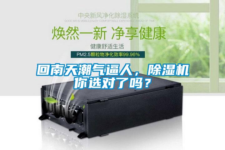 回南天潮氣逼人，除濕機你選對了嗎？