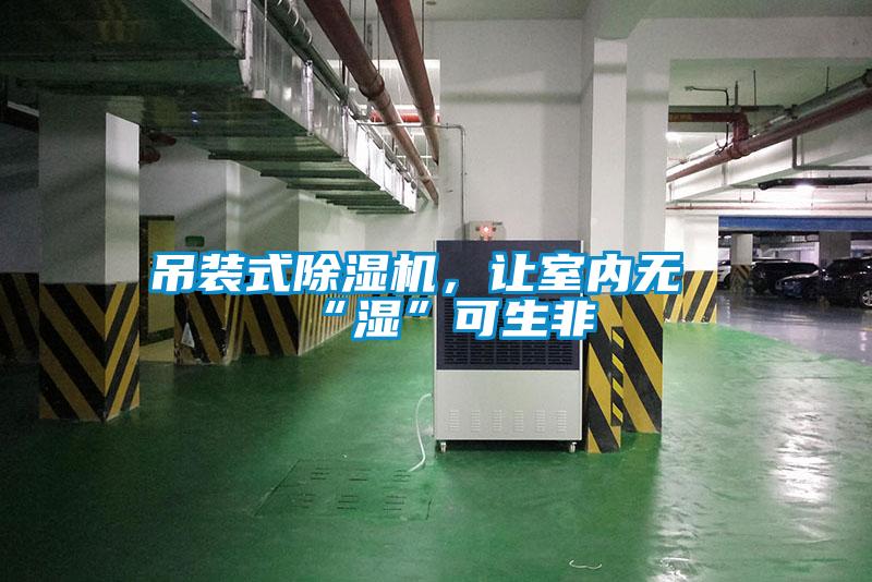吊裝式除濕機，讓室內(nèi)無“濕”可生非