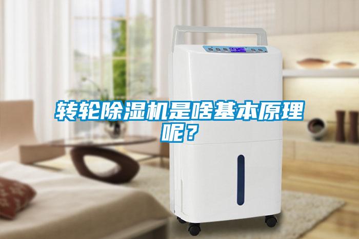 轉(zhuǎn)輪除濕機是啥基本原理呢？