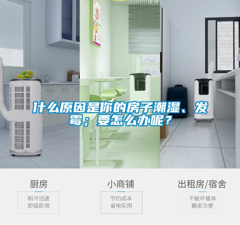 什么原因是你的房子潮濕、發(fā)霉；要怎么辦呢？