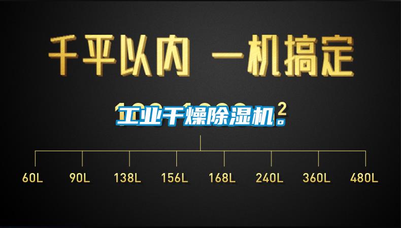 工業(yè)干燥除濕機(jī)。