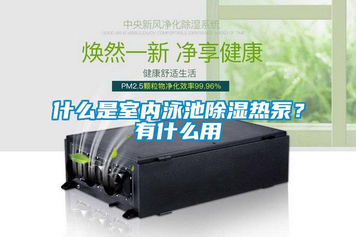 什么是室內泳池除濕熱泵？有什么用