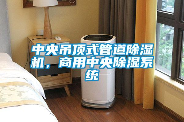 中央吊頂式管道除濕機，商用中央除濕系統(tǒng)