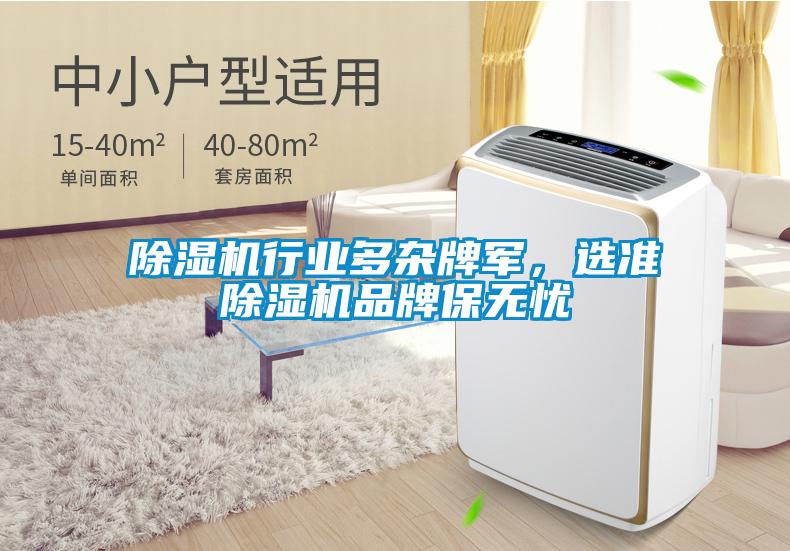 除濕機(jī)行業(yè)多雜牌軍，選準(zhǔn)除濕機(jī)品牌保無憂