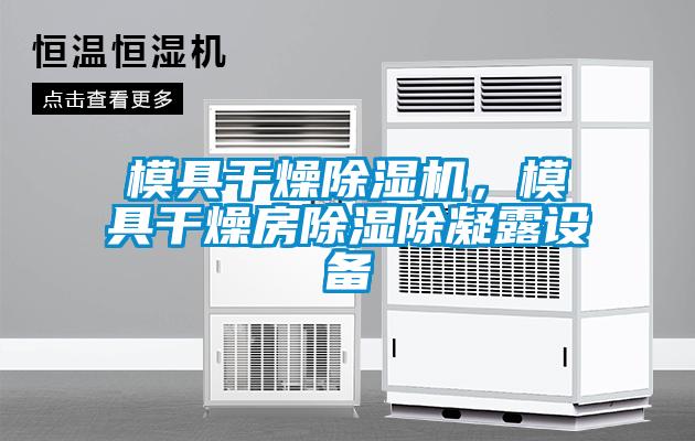 模具干燥除濕機(jī)，模具干燥房除濕除凝露設(shè)備