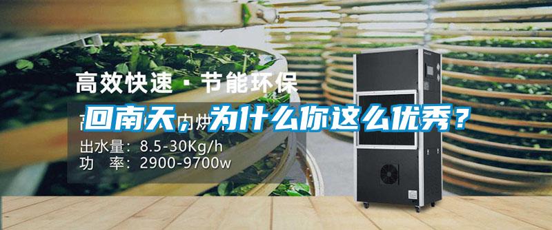 回南天，為什么你這么優(yōu)秀？
