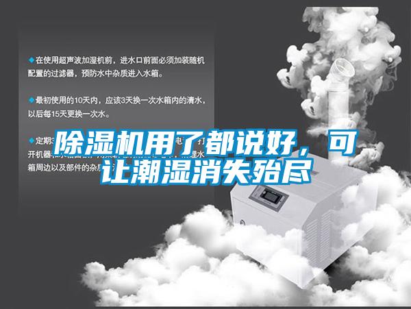 除濕機用了都說好，可讓潮濕消失殆盡