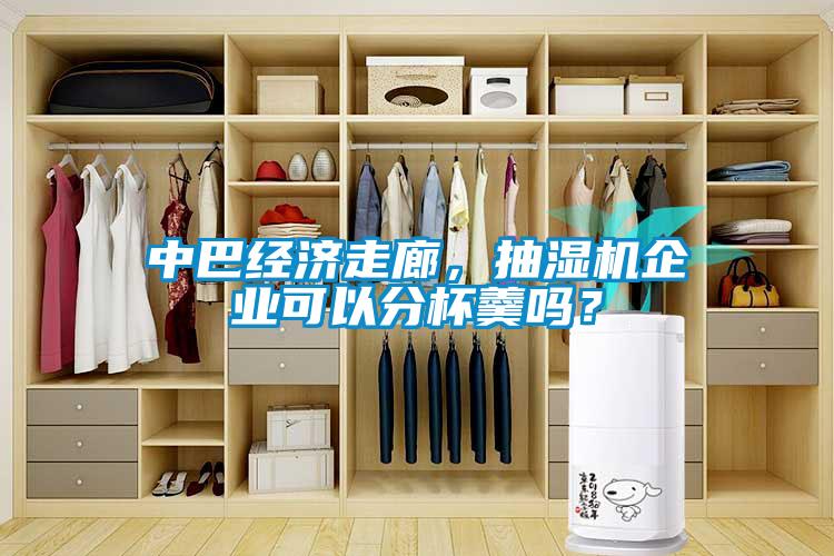中巴經(jīng)濟(jì)走廊，抽濕機(jī)企業(yè)可以分杯羹嗎？