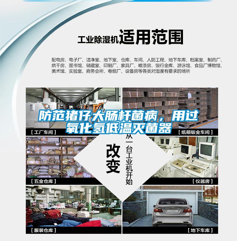 防范豬仔大腸桿菌病，用過(guò)氧化氫低溫滅菌器