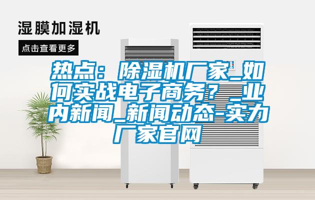 熱點(diǎn)：除濕機(jī)廠家_如何實(shí)戰(zhàn)電子商務(wù)？_業(yè)內(nèi)新聞_新聞動態(tài)-實(shí)力廠家官網(wǎng)