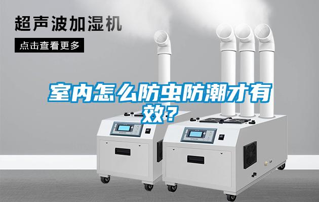 室內(nèi)怎么防蟲防潮才有效？