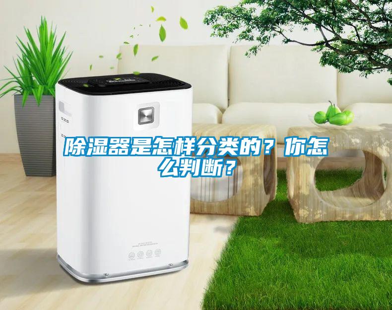 除濕器是怎樣分類的？你怎么判斷？