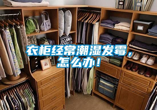衣柜經(jīng)常潮濕發(fā)霉，怎么辦！