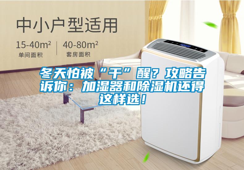 冬天怕被“干”醒？攻略告訴你：加濕器和除濕機(jī)還得這樣選！