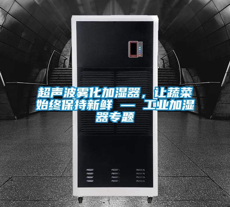 超聲波霧化加濕器，讓蔬菜始終保持新鮮 — 工業(yè)加濕器專題