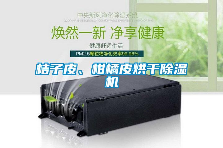 桔子皮、柑橘皮烘干除濕機