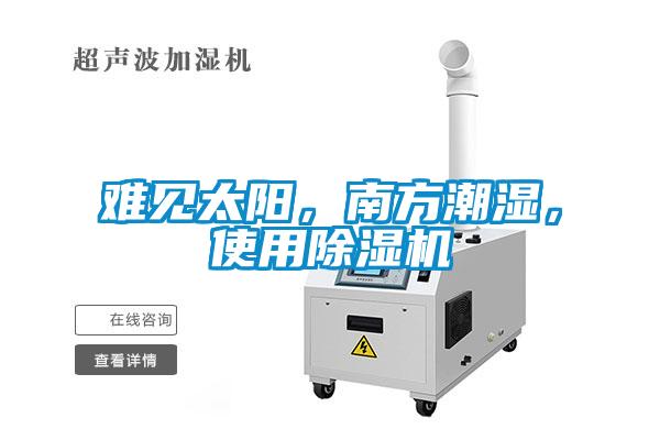 難見太陽，南方潮濕，使用除濕機