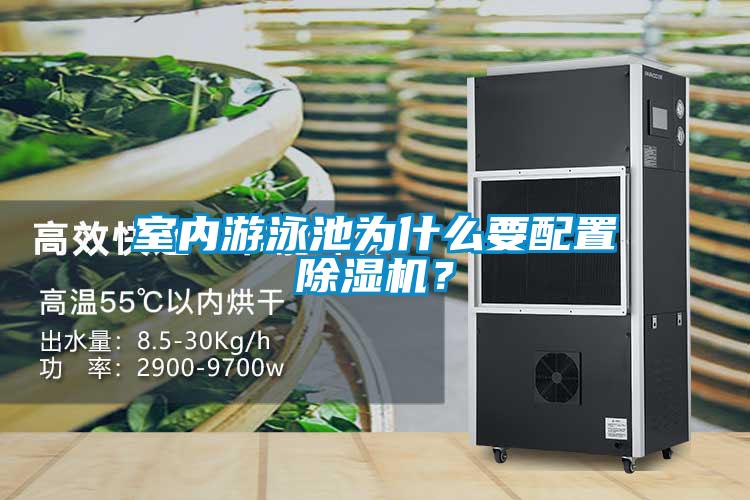 室內(nèi)游泳池為什么要配置除濕機？