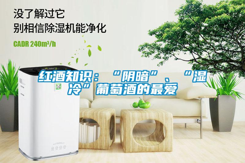 紅酒知識(shí)：“陰暗”、“濕冷”葡萄酒的最愛
